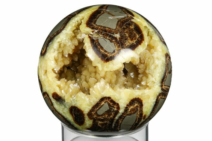 Bargain, Crystal Filled, Polished Septarian Sphere - Utah #170324